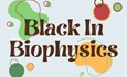 Black in Biophysics Research: Biophysics of Somatosensation and Pain