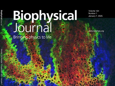 Simplifying Cell-Cell Communication