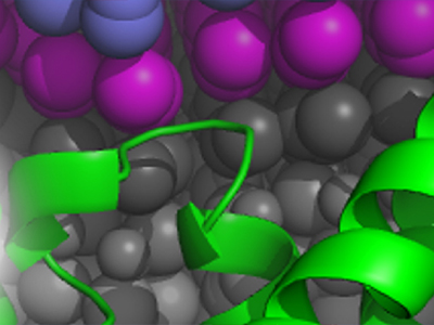 Biophysics Week Turns 10 in 2025 – Let’s Celebrate!