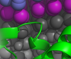 Biophysics Week Turns 10 in 2025 – Let’s Celebrate!