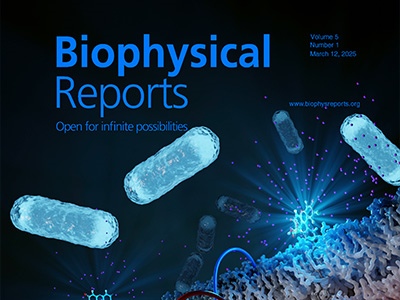 Quantifying Bacterial Membrane Potential Using Fluorescence Lifetime