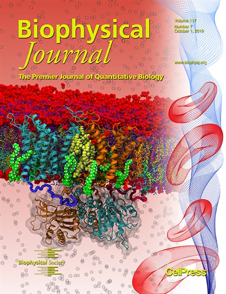 Issue: Biophysical Journal