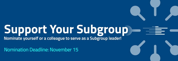 Subgroup Elections