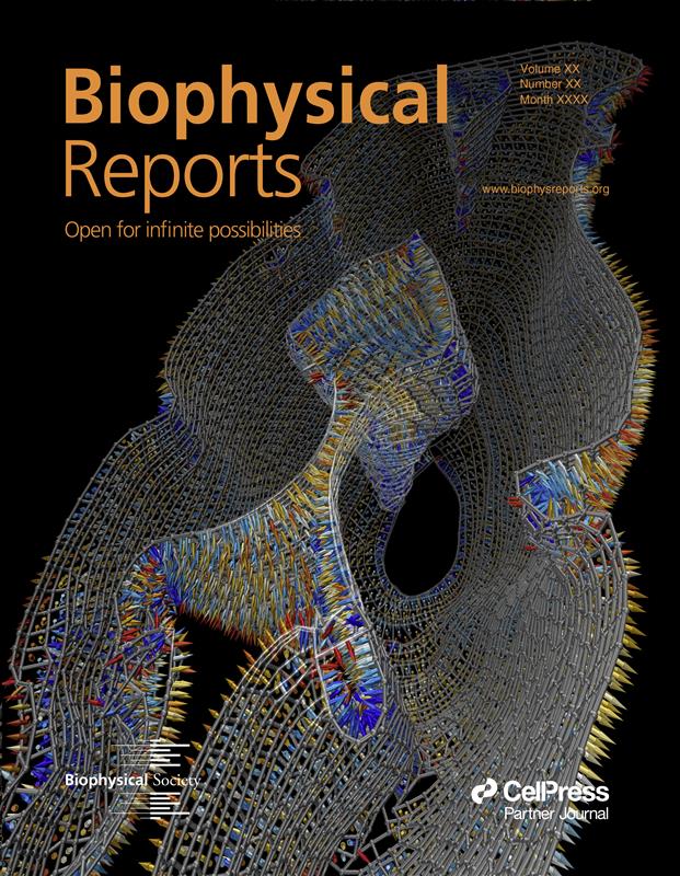 Issue: Biophysical Journal