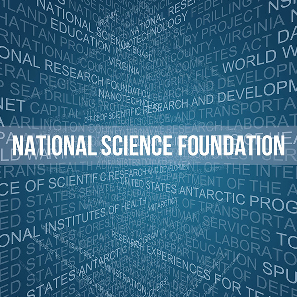 Inside Perspectives and Opportunities NSF Grants