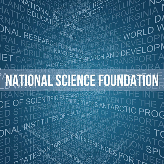 Inside Perspectives and Opportunities: NSF Grants