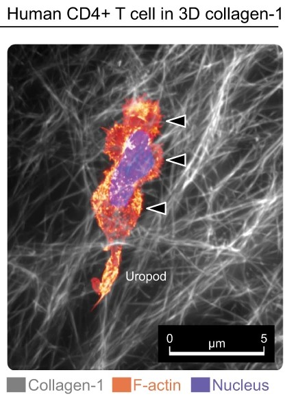 From Experiments To Theory (and Back Again)