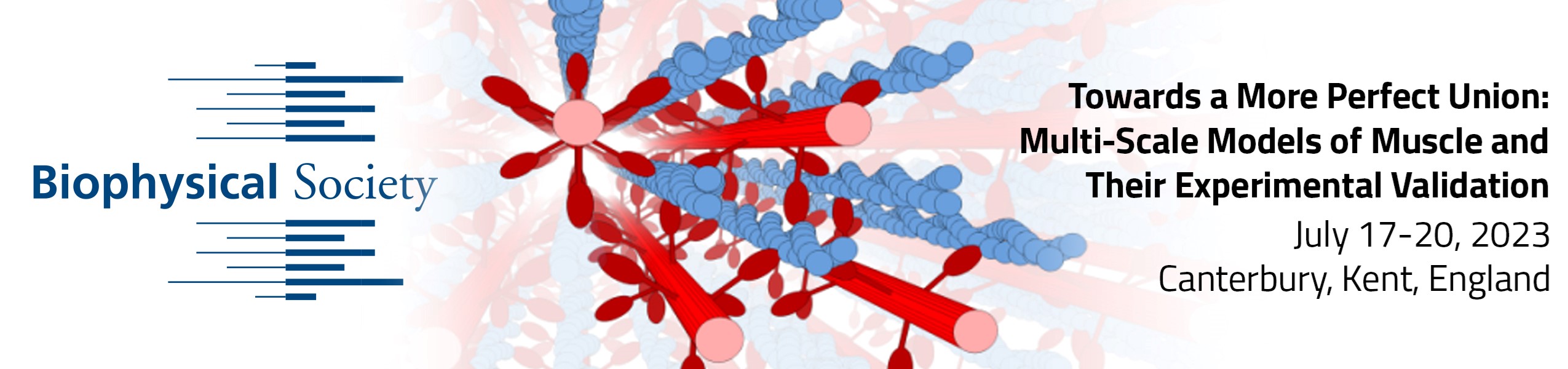 Towards a More Perfect Union: Multi-Scale Models of Muscle and Their Experimental Validation Cover Image