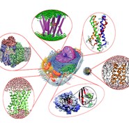 2025 Estes Park Proton Reactions Conference Early Registration - Student Member